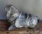 Bronze Waler Image of Work
